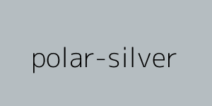 Mercedes Dažų spalva Polar Silver / Dažų kodas: 761, 9761