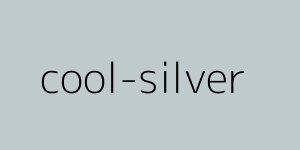 Mitsubishi Dažų spalva Cool Silver / Dažų kodas: A31